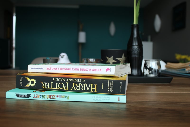 Mes lecture décembre 2016 - Avril sur un fil
