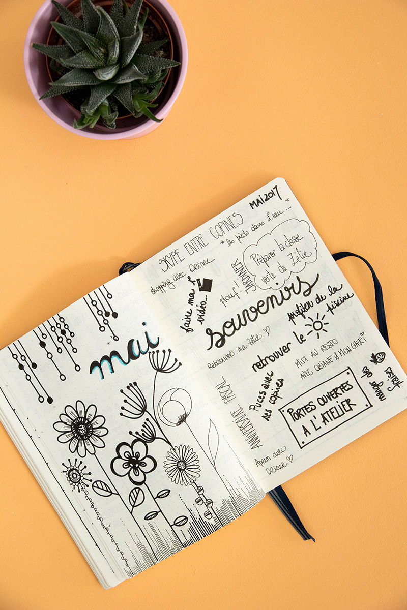 Demarrer Un Nouveau Bullet Journal Comment Faire