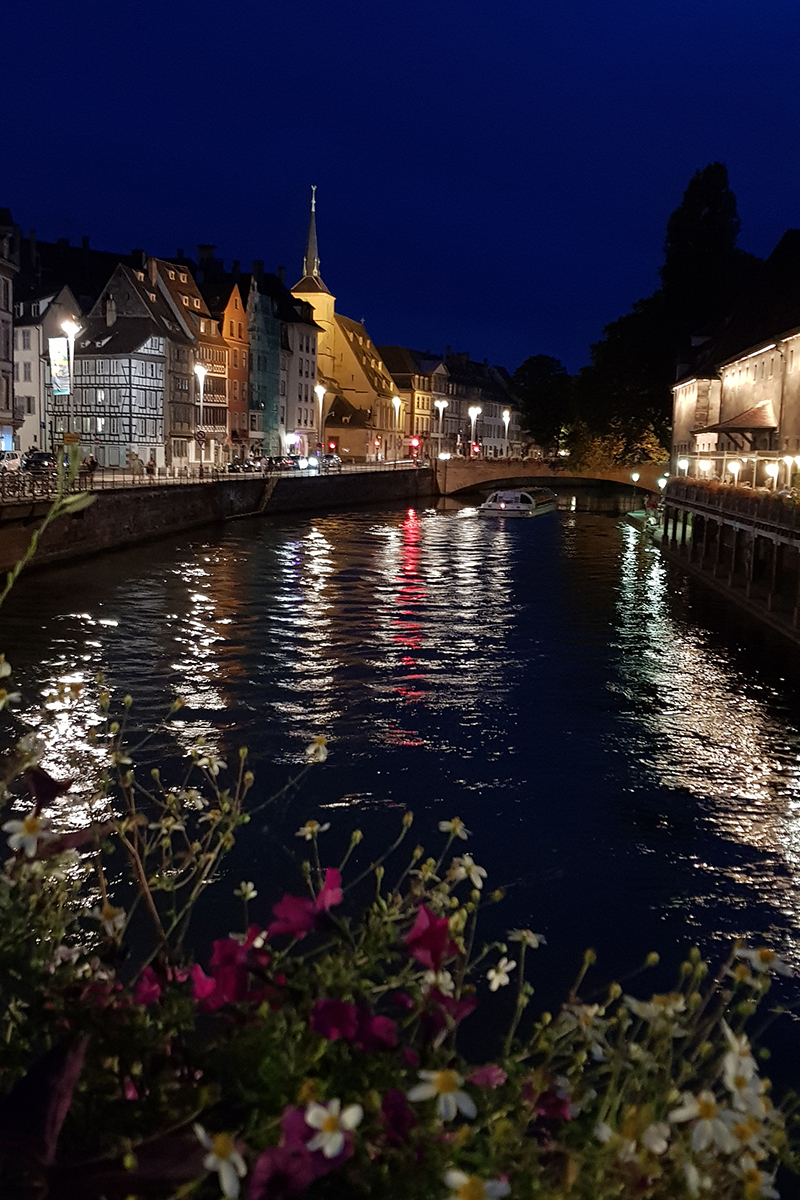 Strasbourg - août 2019 - Avril sur un fil