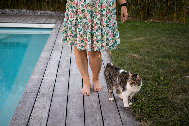 Une invitée surprise sur mes photos - Avril sur un fil