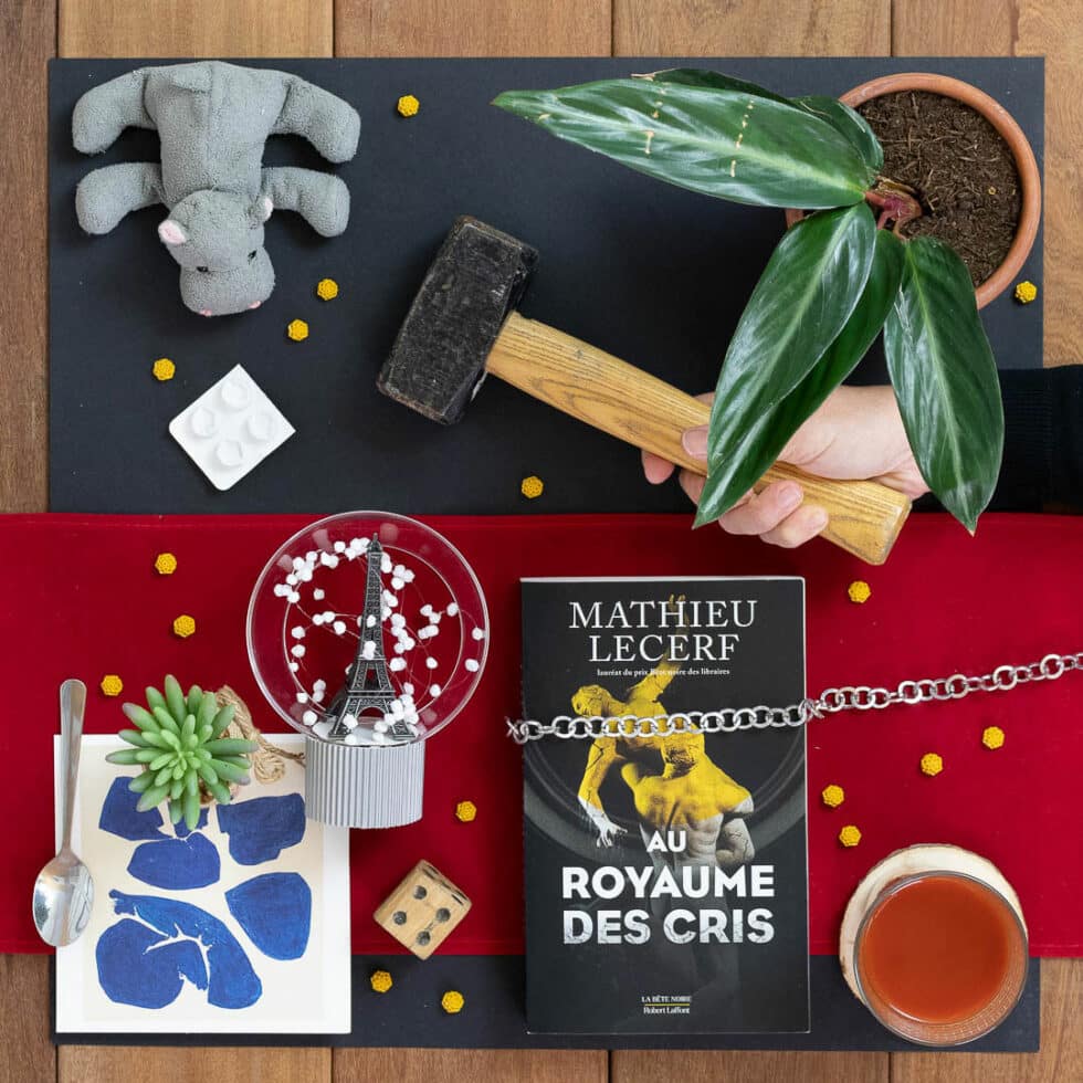 Chez Bookinette: Au Royaume Des Cris